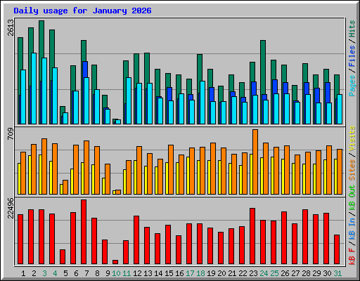 Daily usage for January 2026