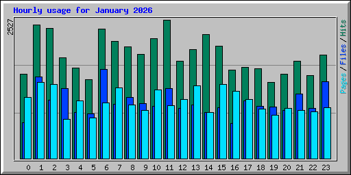 Hourly usage for January 2026
